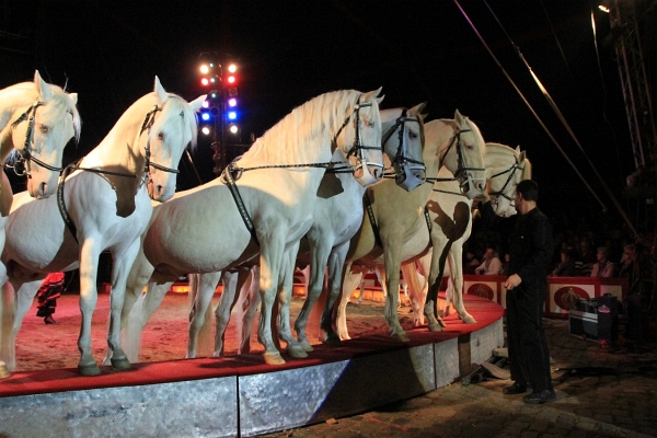 Krone2011   078.jpg